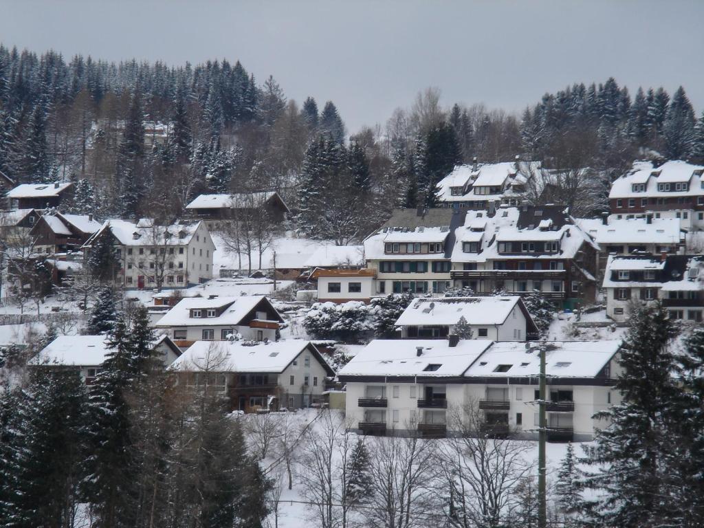 Pension Restaurant Waldblick 费尔德伯格 外观 照片